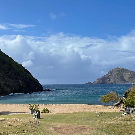 Blue Lagoon, Cottage Les Pieds Dans L Eau Terre-De-Haut Eksteriør billede